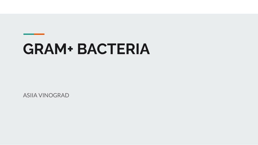 Gram-Positive Bacteria